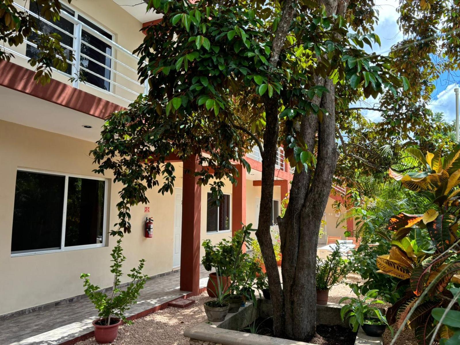 Casa Del Cenote Valladolid (Yucatan) Exterior foto